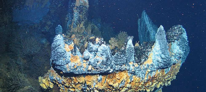 Deep Sea Vents