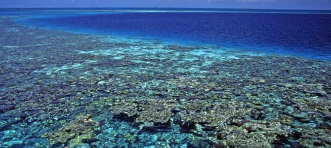 Northern Red Sea